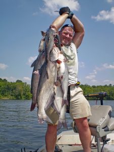 Brian Lowe had to use a significant amount of muscle to show off this stringer of blue cats caught on the Tennessee River near Chattanooga.