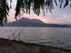 Anietra Hamper and other anglers fished bankside on the River Ebro in Spain for a week seeking the wels catfish.