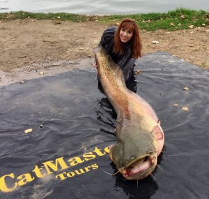 One of four 100-pound-plus wels catfish the author caught during her week fishing on the River Ebro in Spain.