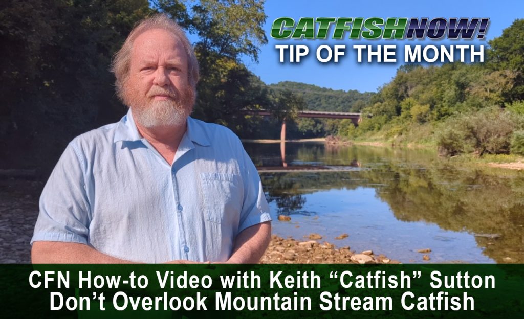 CFN How-to Video with Keith “Catfish” Sutton—Don’t Overlook Mountain Stream Catfish